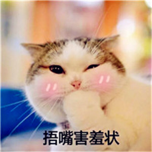 耀阳头像小狗
