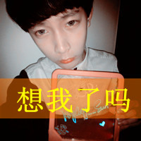 适合做头像的孤狼图片