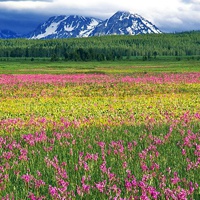 风景头像微信大自然山
