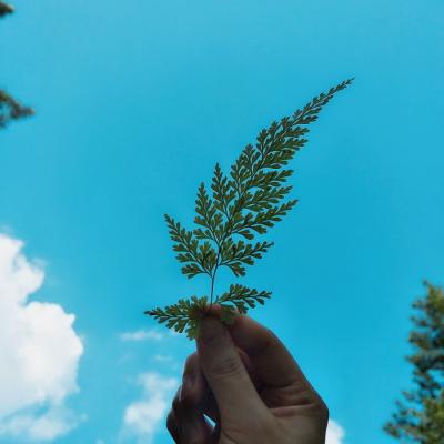 微信头像图片 风景 最新版 意境