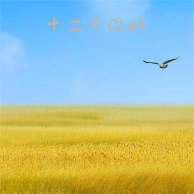 带来好运的头像大全2023