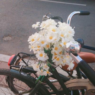 花朵头像高清