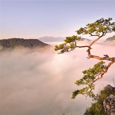 唯美治愈系风景头像