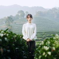 与烂人相对的网名