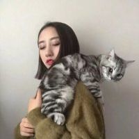 适合表白的网名大全