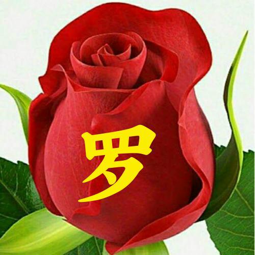 女士微信头像招财好运图片