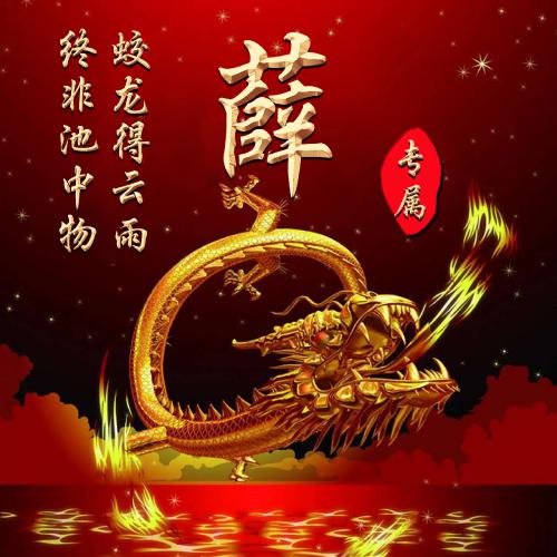 姓氏头像大全 金龙